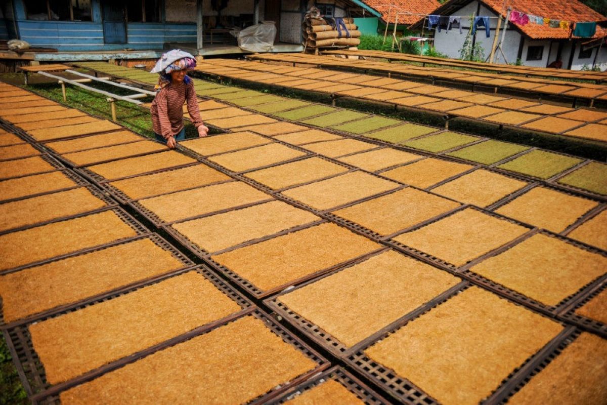 Kemenkeu putuskan untuk berikan relaksasi penundaan pembayaran cukai