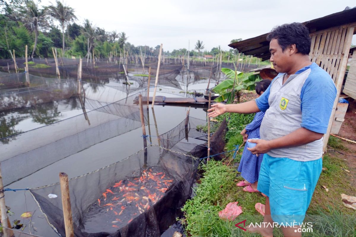 Produksi ikan konsumsi di Bogor alami penurunan selama pandemi