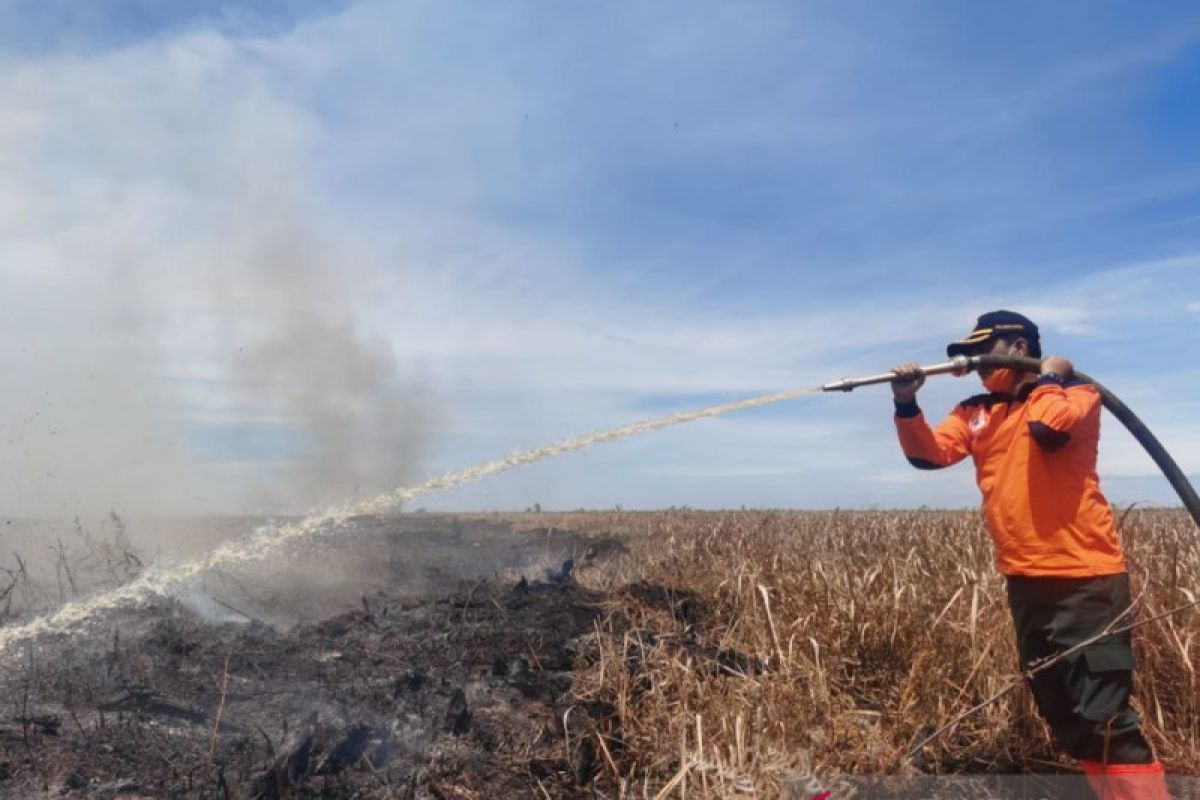 Gubernur : Warga buka lahan dengan membakar bisa dijerat hukum