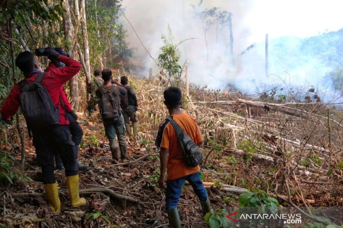 16 kali bom air hentikan kebakaran di Taman Nasional Riau