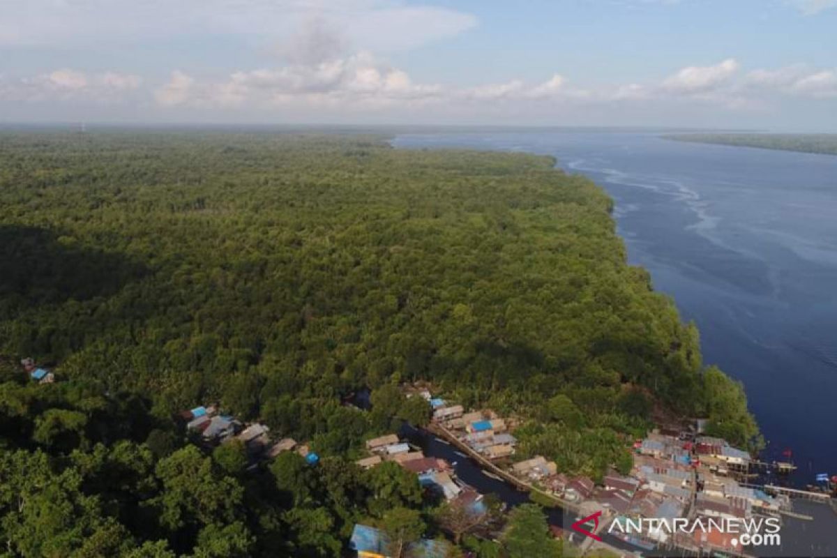 Pegiat lingkungan harap Kubu Raya bisa jadi pusat mangrove dunia