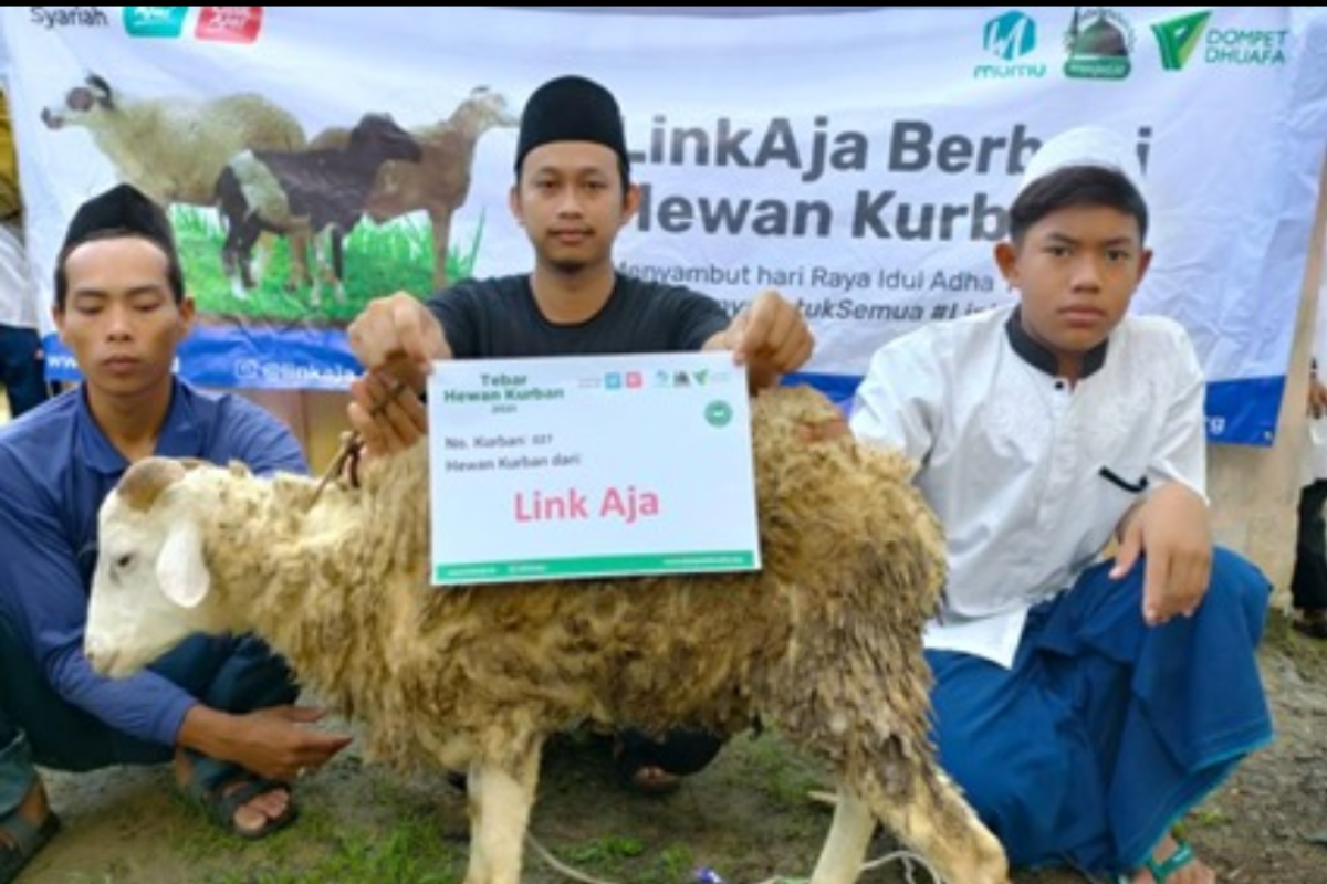 LinkAja bersama Dompet Dhuafa berbagi hewan kurban