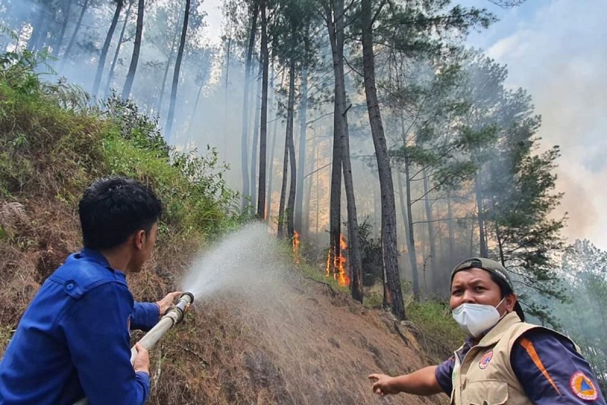 Dalam sepekan, kebakaran hutan dan lahan di Bener Meriah capai 42 hektare