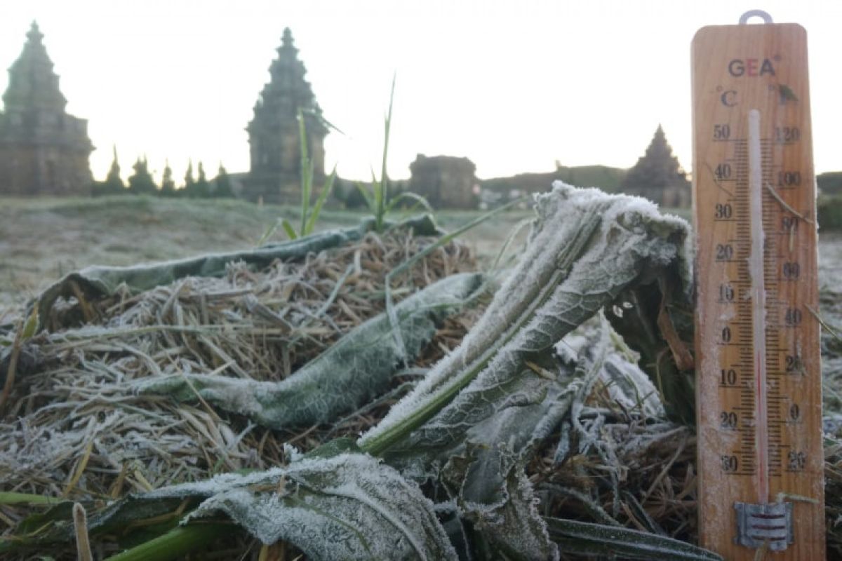 Weather anomaly triggers frost in Dieng during rainy season