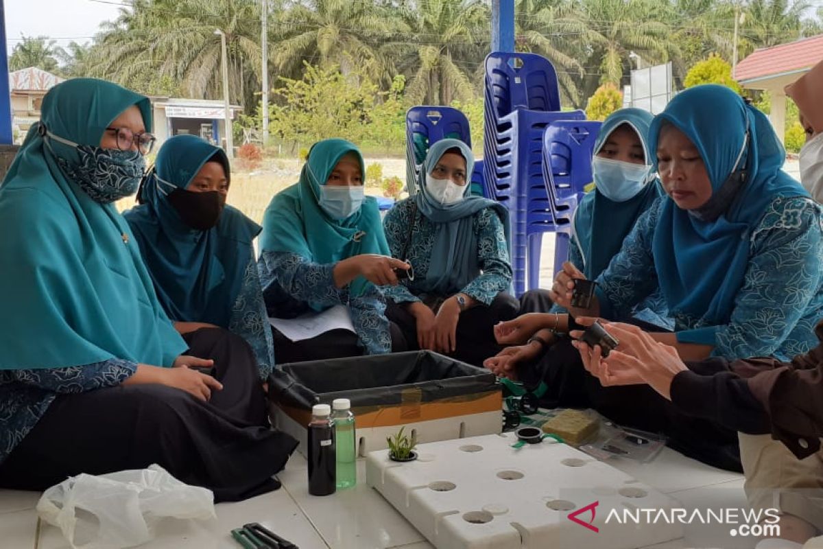 Mahasiswa KKN Desa Lubuk Kembang Sari beri pelatihan hidroponik sistem Wick