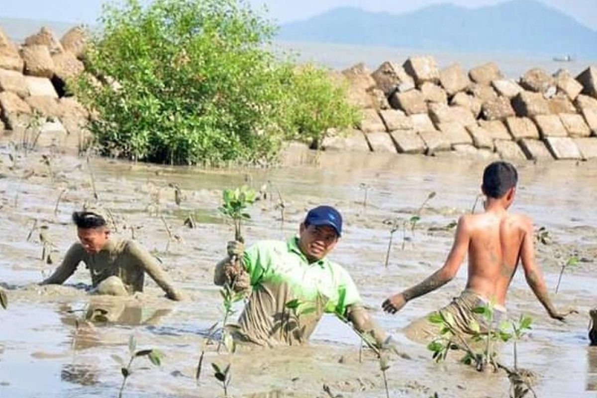 LDII Kalbar soroti kerusakan mangrove dan pentingnya menjaga kelestarian
