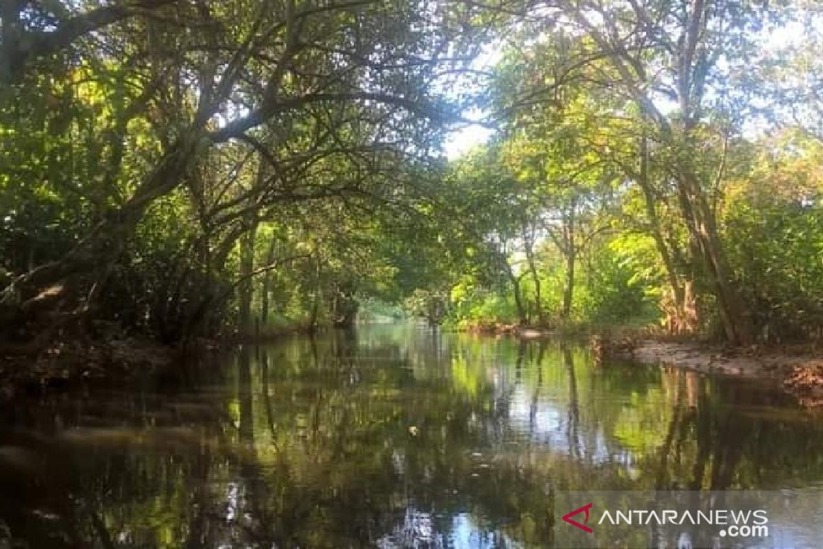 Pegiat menilai sungai masih difungsikan kanal