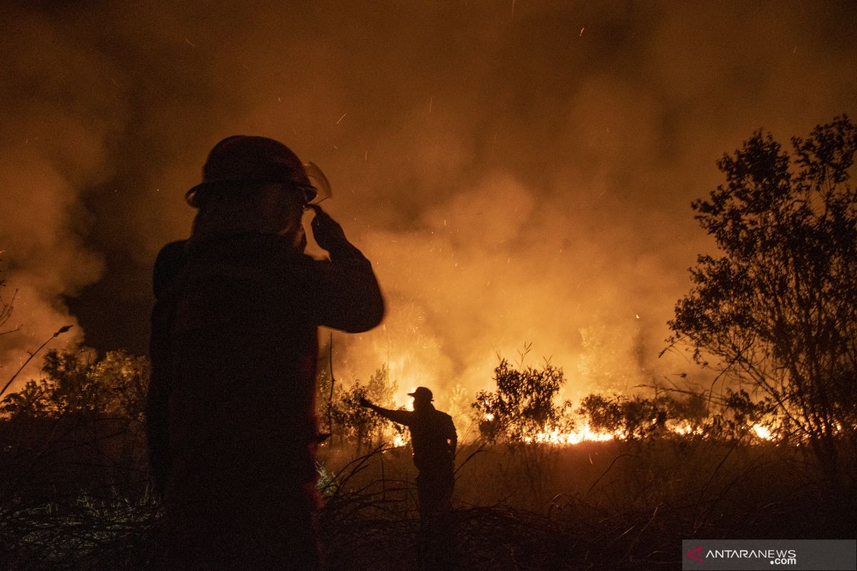 Seluas 15 hektare lahan di Ogan Ilir Sumsel terbakar