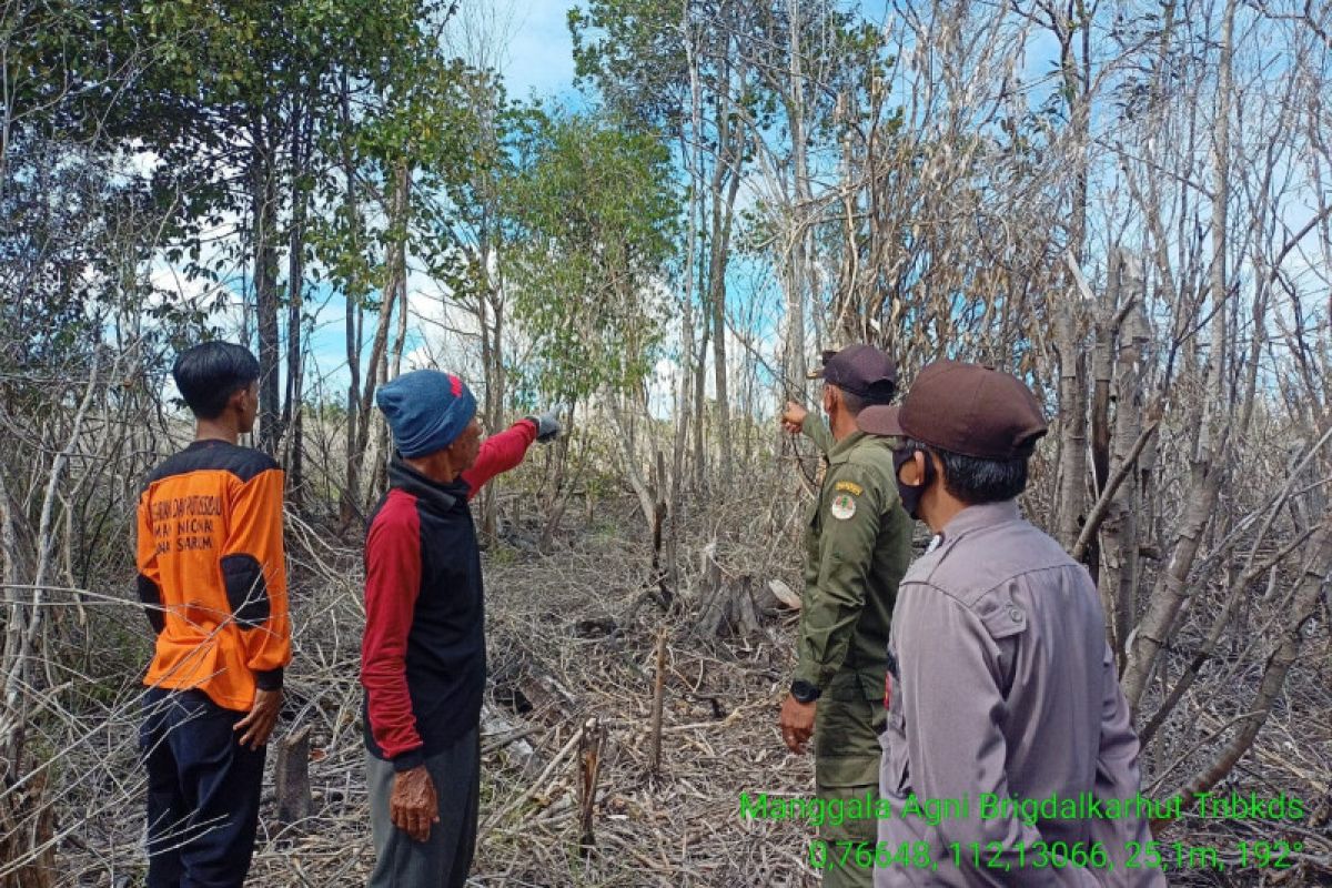 TNBKDS Kapuas Hulu siagakan pos pemantauan dan penanggulangan karhutla