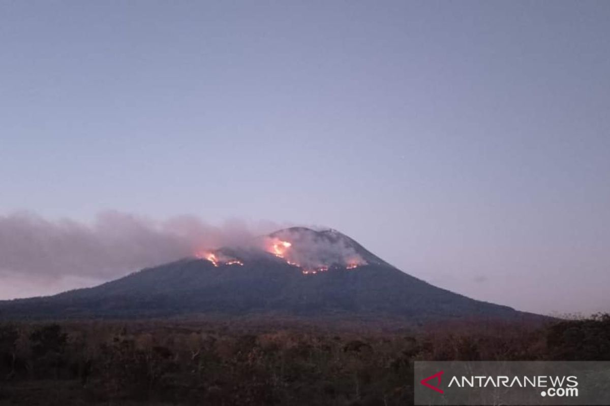 Terjadi kebakaran hutan akibat erupsi Gunung Ili Lewotolok di Lembata