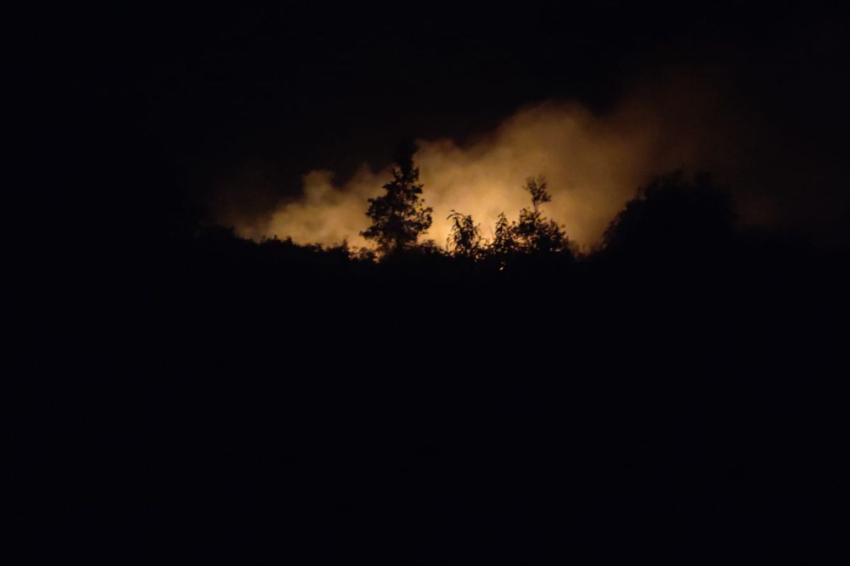 Waduh, 15 hektare lahan di Ogan Ilir terbakar