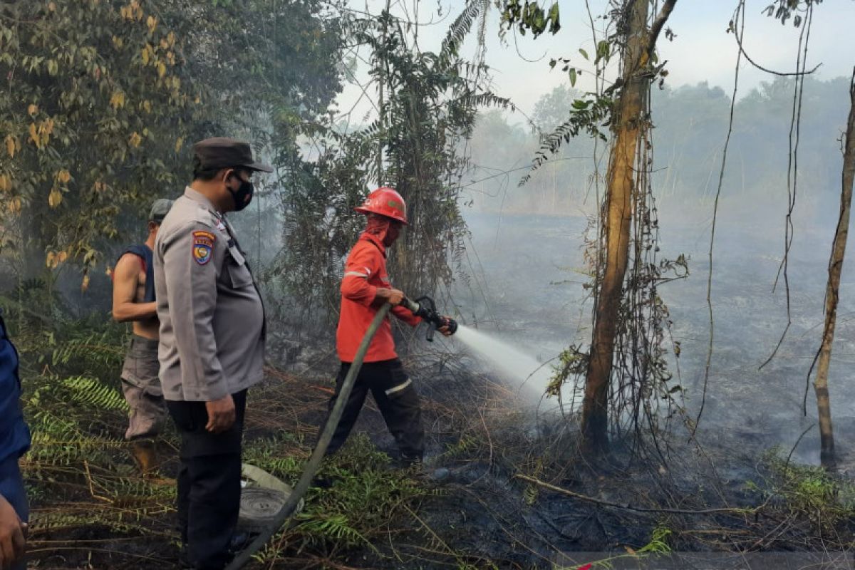 Pemkab Siak dan CIFOR riset aksi partisipatif cegah karhutla