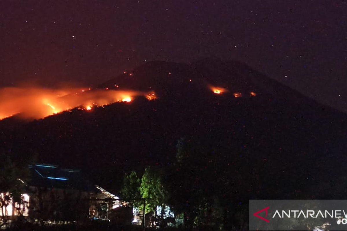 Helikopter dikerahkan untuk padamkan kebakaran hutan di Ile Lewotolok