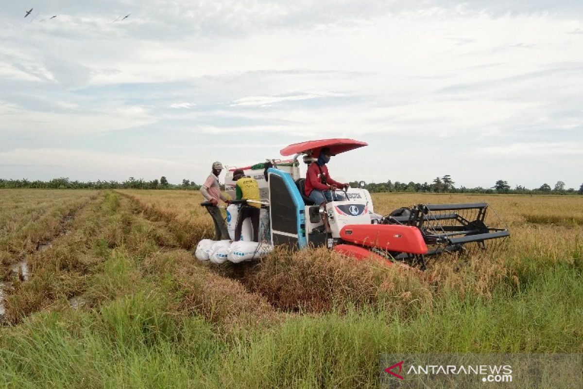 Ketua DPRD Seruyan minta pertanian dimaksimalkan untuk pacu perekonomian daerah