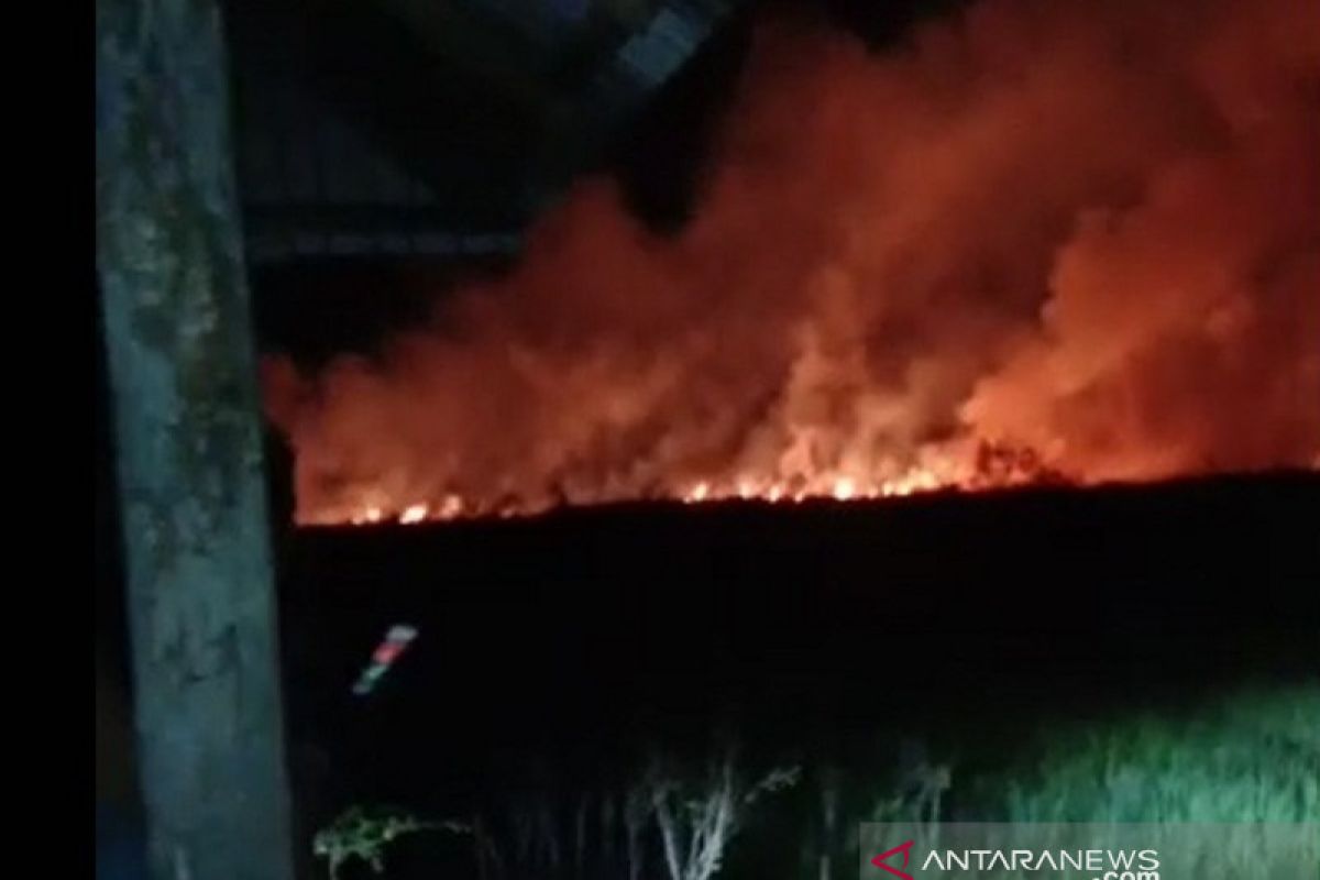 Antisipasi terulangnya karhutla, Camat Daha Selatan imbau kewaspadaan dini