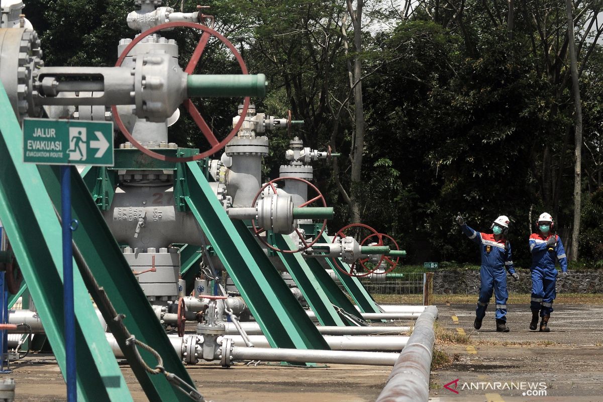 Pertamina seeks to promote multiple uses of geothermal energy