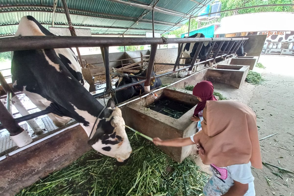 Ini tujuan wisata edukasi peternakan yang tetap eksis saat pandemi COVID-19