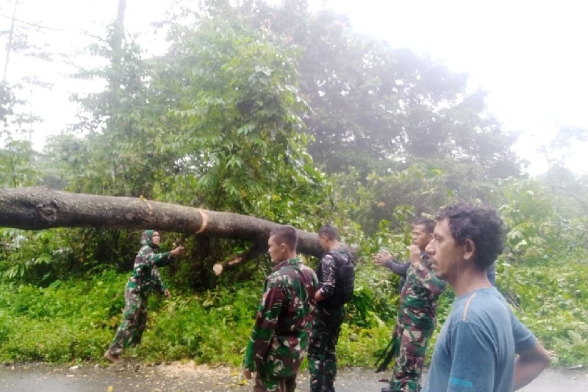 Satgas TNI evakuasi pohon tumbang di jalan Trans Papua