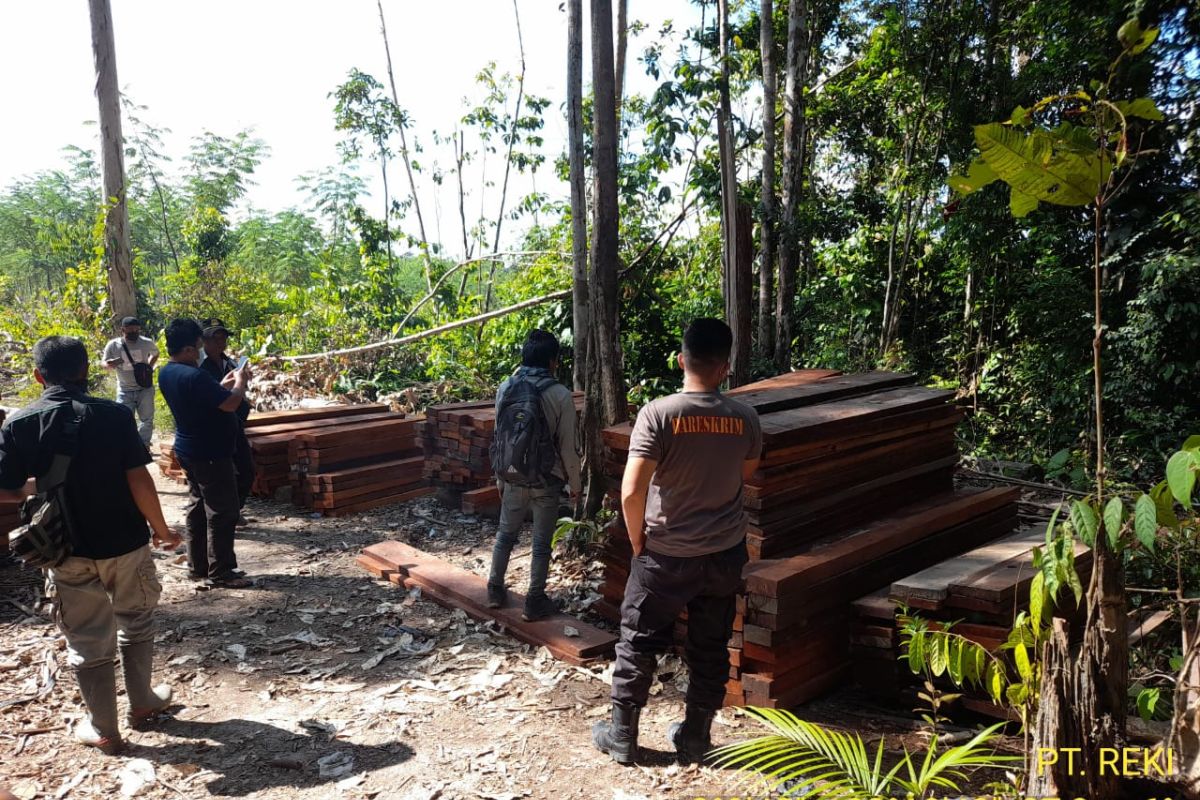 Polda Jambi tangkap dua terduga pelaku pembalakan liar di hutan Reki