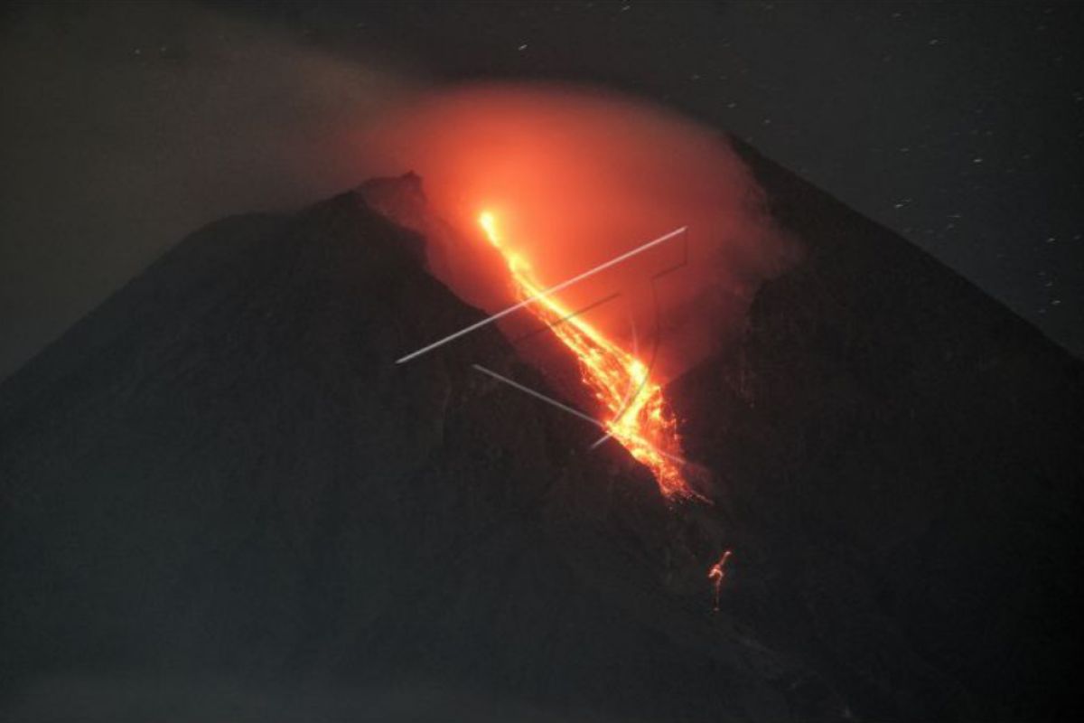 Gunung Merapi 179 kali meluncurkan guguran lava selama sepekan