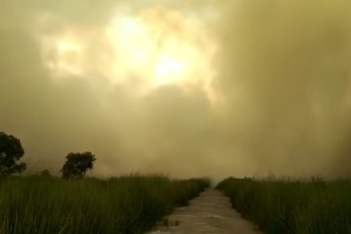 Kabut asap selimuti Banjarbaru