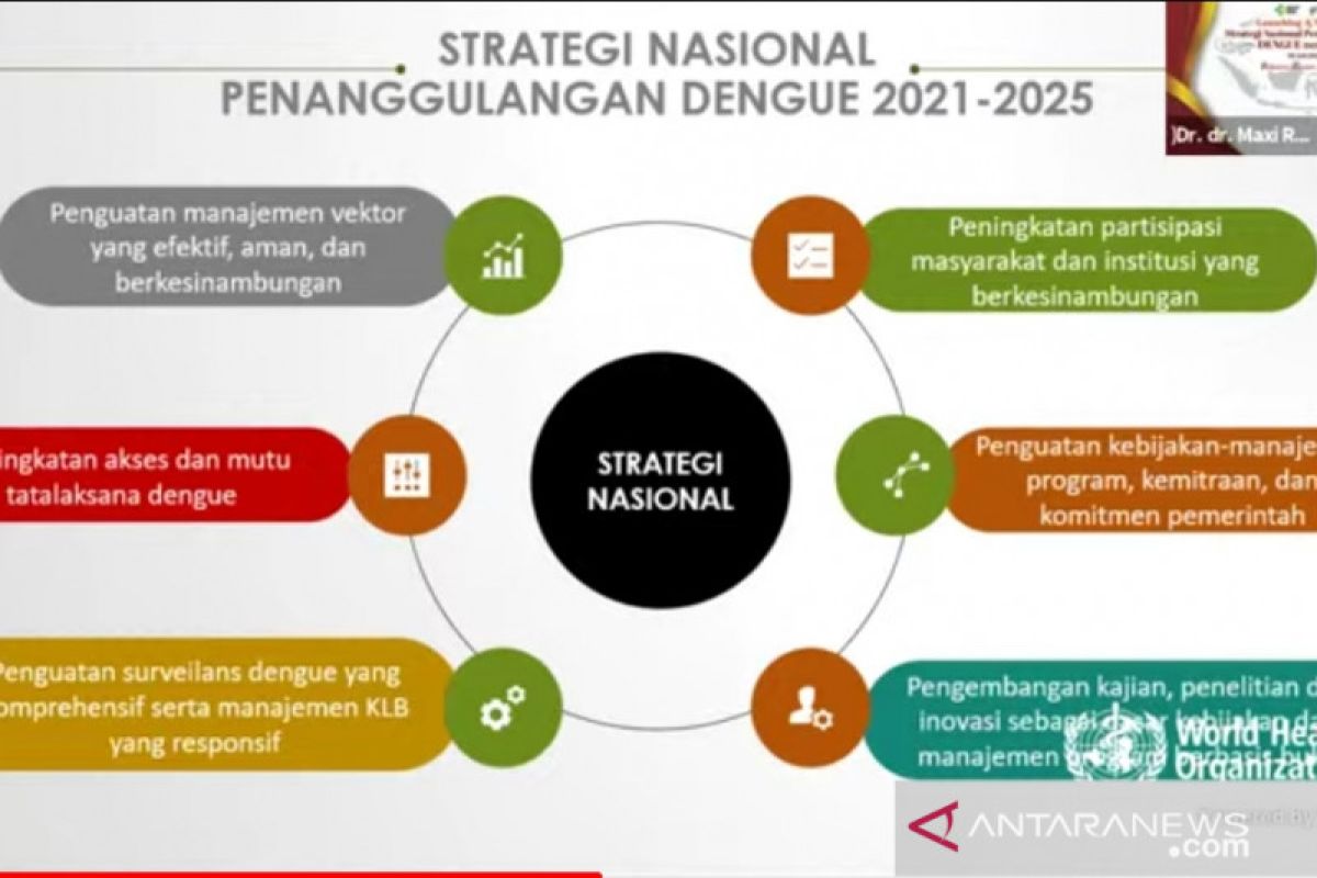 Tiga program Kemenkes perkuat strategi penanggulangan dengue