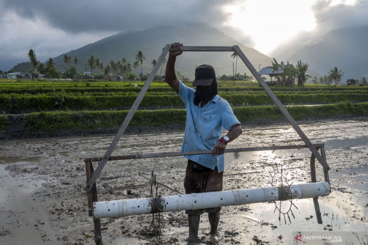 Investasi berpotensi tingkatkan daya saing sektor pertanian nasional