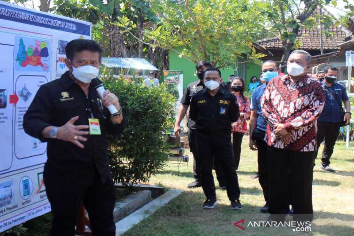 Ngemplak Boyolali dijadikan model kawasan korporasi pertanian keluarga