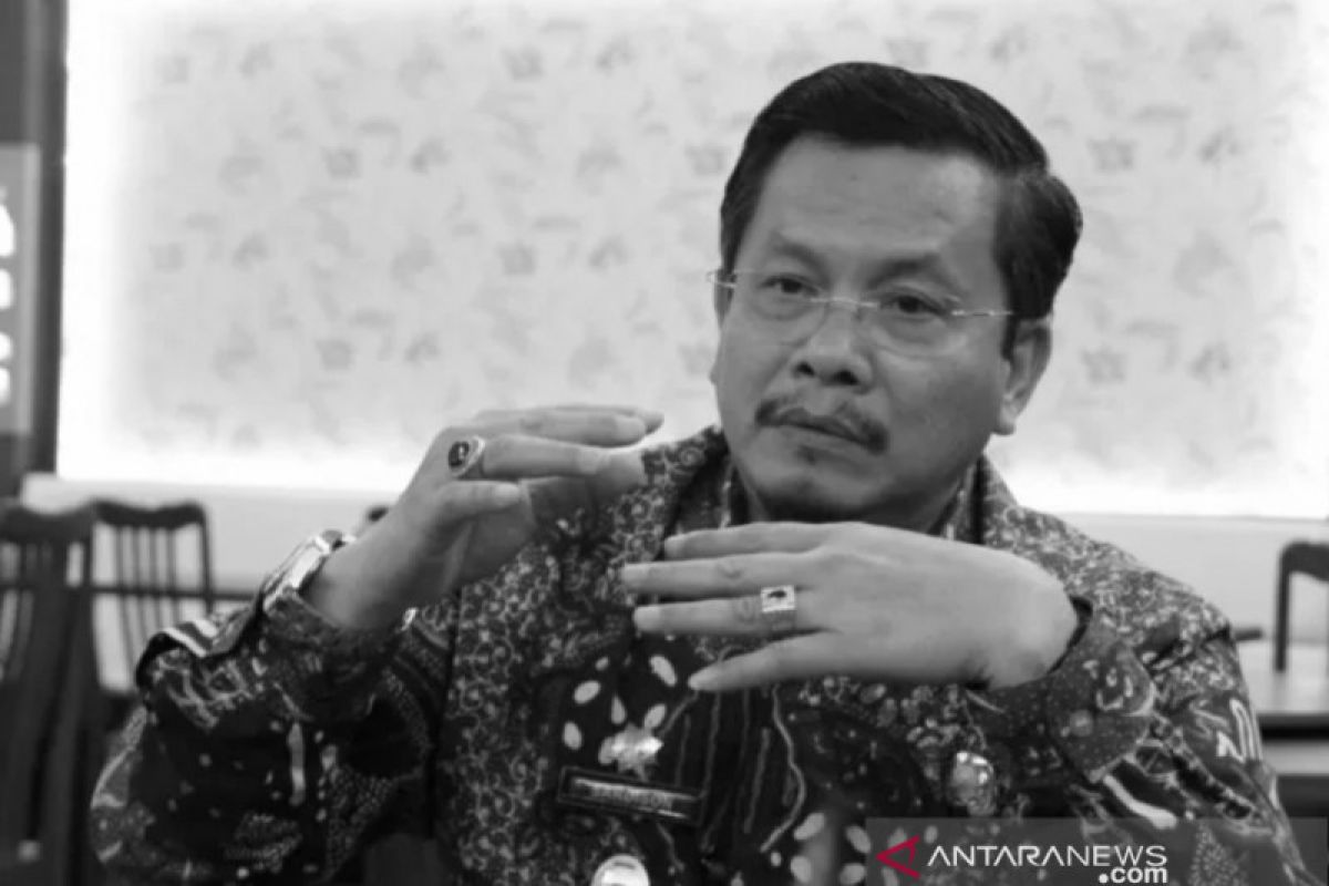 Jika kurva COVID-19 di Kepri  landai maka pilkades tak tertunda