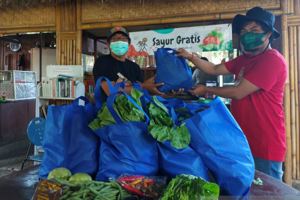 Petani Songan-Bangli berbagi sayuran gratis untuk warga  Kota Denpasar