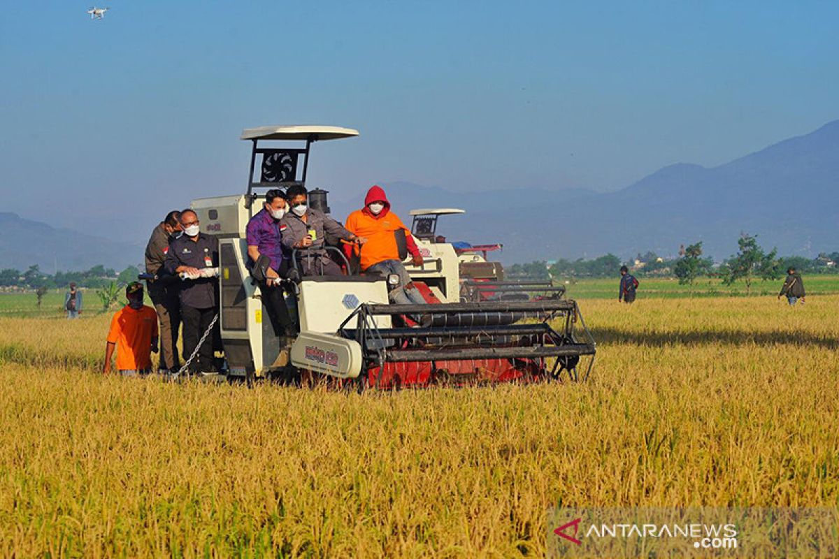 Mentan: Penyaluran KUR sektor petanian capai Rp43,6 triliun