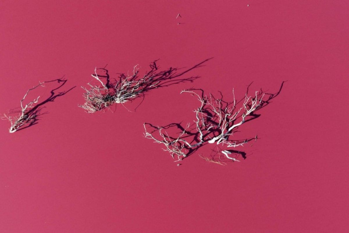 Danau berubah warna jadi pink di Argentina akibat limbah?