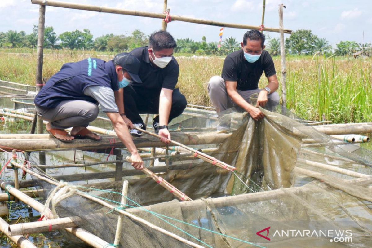 Bang Dhin apresiasi usaha perikanan rakyat Kalsel