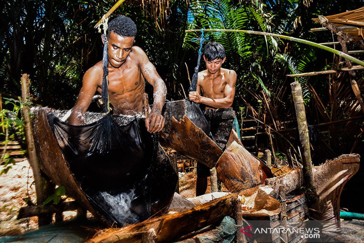 Pengolahan sagu tradisional masih bertahan di Maluku