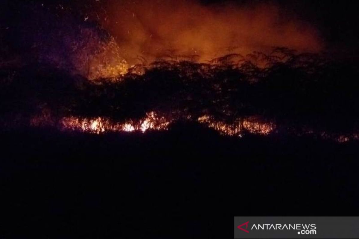 BPBD Penajam waspadai kebakaran hutan dan lahan di musim kemarau