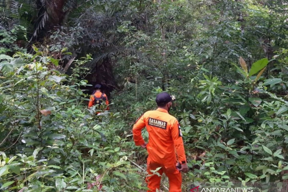 Basarnas cari lansia 60 tahun hilang di hutan