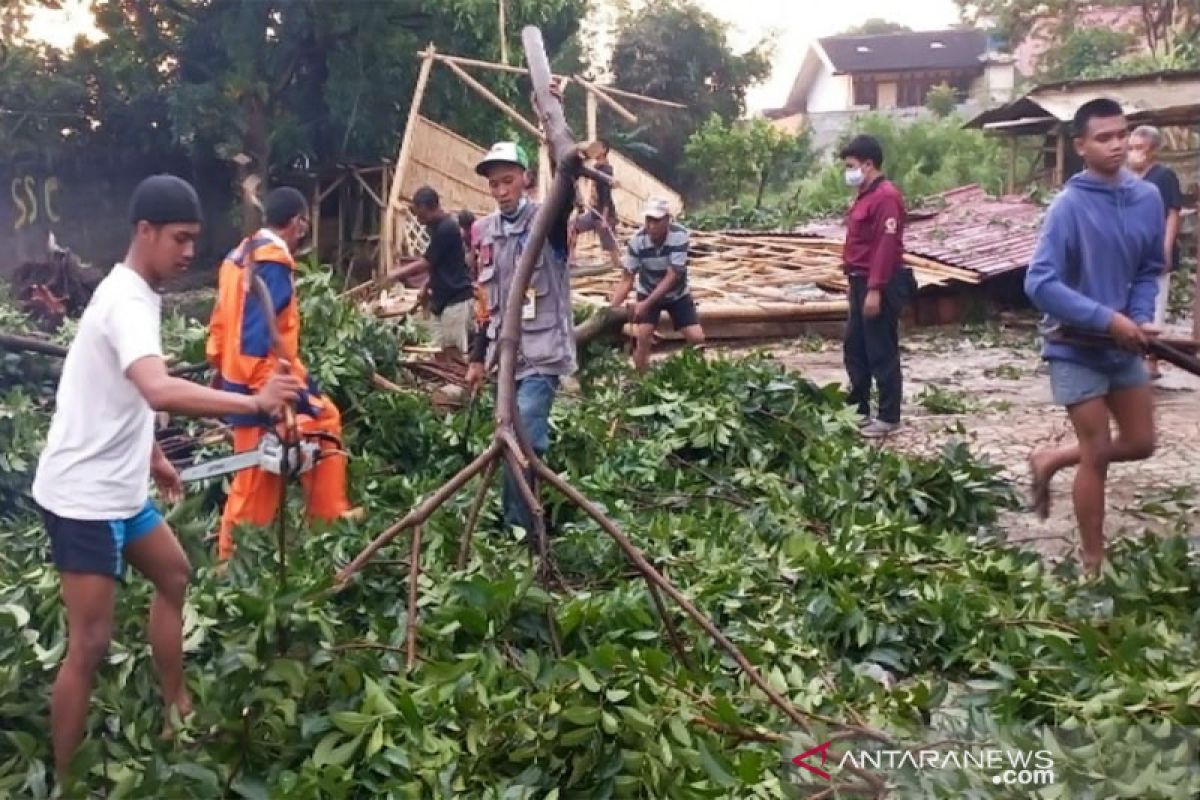 Kamis, BMKG peringatkan potensi angin kencang hingga hujan lebat