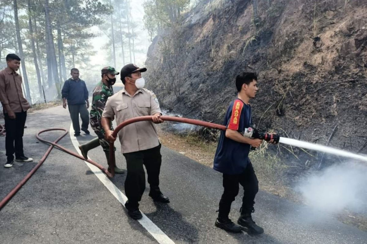 BPBD: Seluas 34 hektare lahan terbakar di Bener Meriah