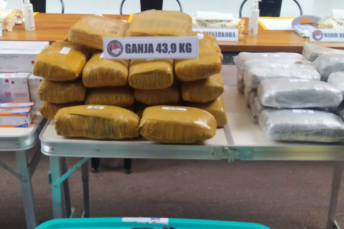 Polisi gagalkan peredaran 43,9 kilogram ganja