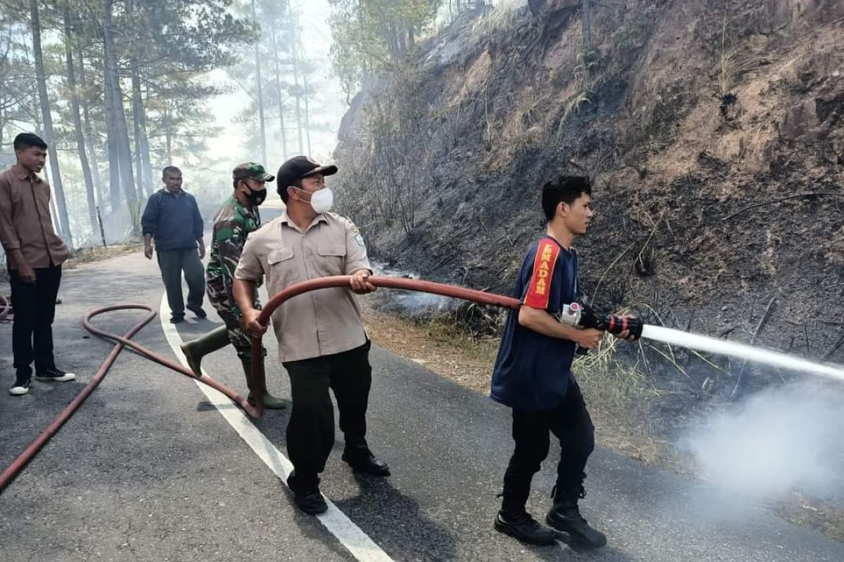 34 hektare hutan pinus-lahan pertanian terbakar di Bener Meriah-Aceh