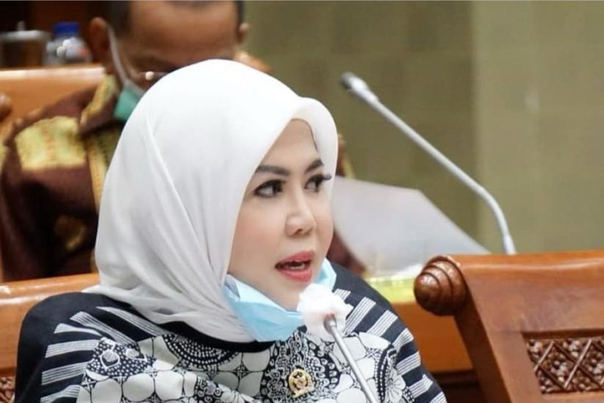 Anggota DPR dorong generasi muda akses bantuan usaha di K/L