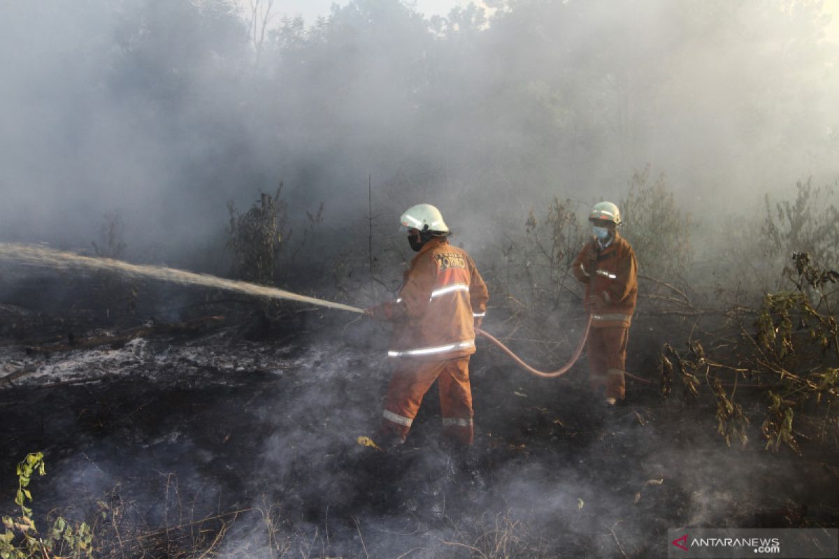Pantau Gambut: 64 persen kebakaran lahan gambut di luar area konsesi