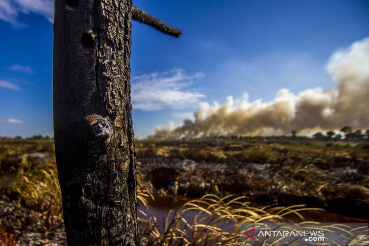 Pemkab OKI dorong petani buka lahan tanpa membakar