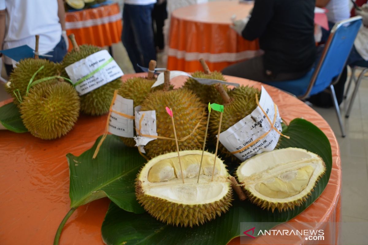 6.500 buah durian dilelang laku terjual Rp42 juta
