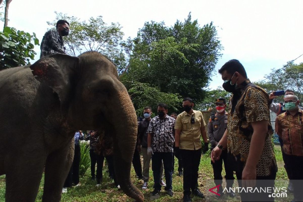 Pemkot Medan fokus datangkan investor kembangkan wisata Medan Zoo