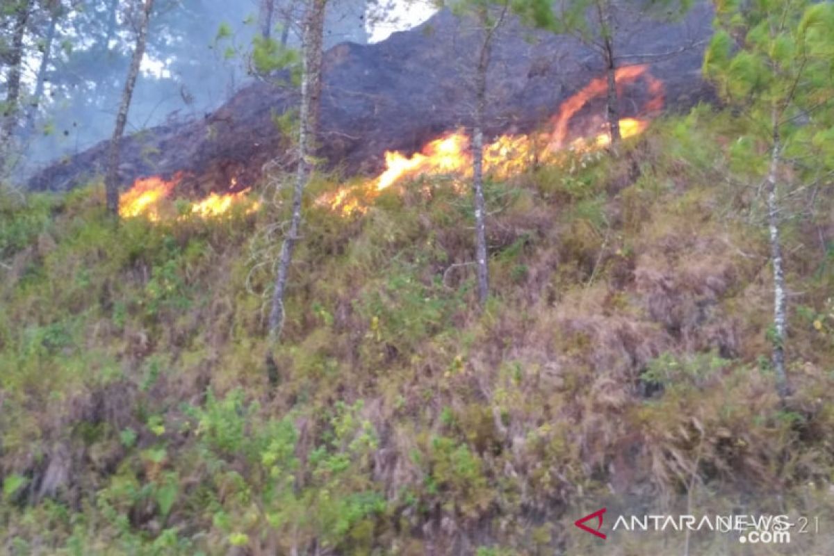 Belasan hektare lahan warga di Aceh Tengah terbakar