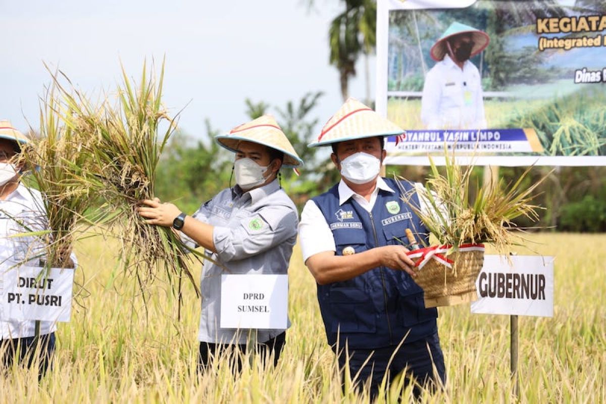 Sumsel ditargetkan jadi lumbung pangan nasional