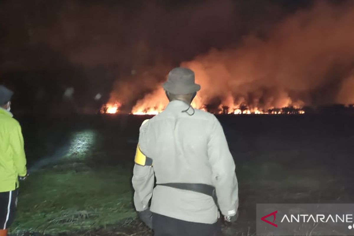 Tim gabungan padamkan karhutla di Kumpeh llir Kabupaten Muarojambi