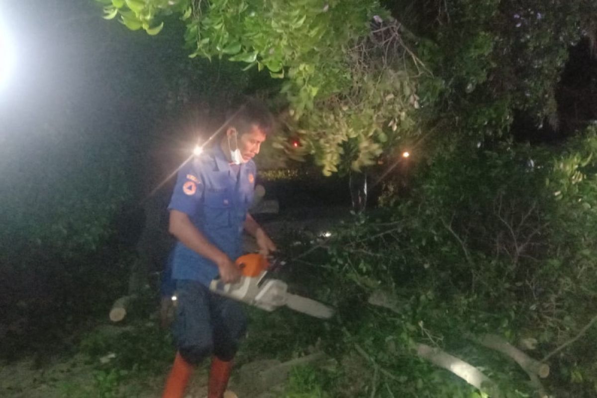 Di Bandarlampung lima rumah rusak diterjang puting beliung