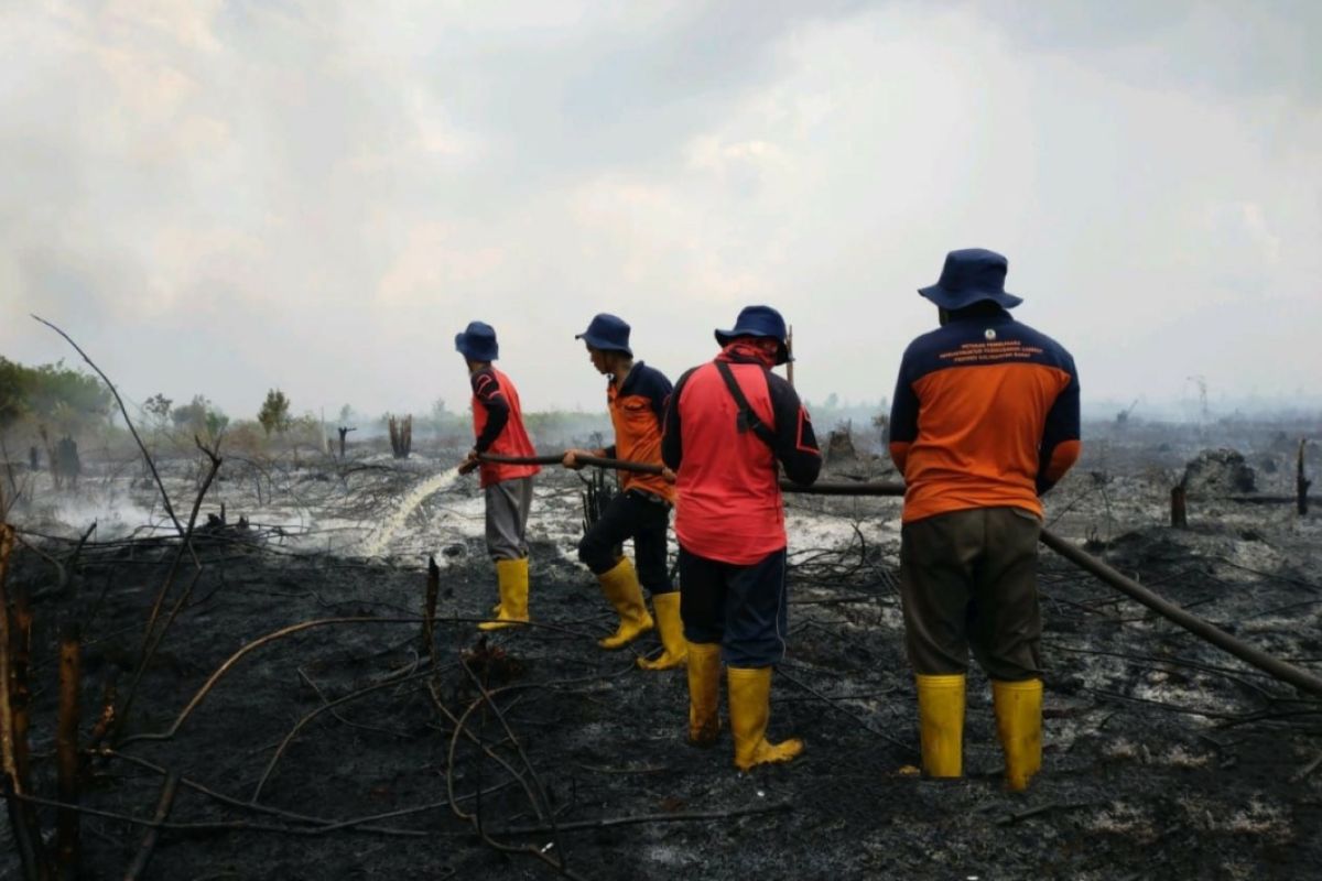 Kebakaran lahan di Sambas akibat pembukaan lahan dengan membakar